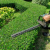hedging