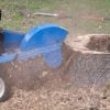 stumpgrinding